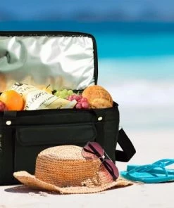 Picnic at Ascot Ultimate 24 - Quart Cooler- Combines Best Qualities of Hard & Soft Collapsible Coolers 12 Picnic at Ascot Ultimate 24 - Quart Cooler- Combines Best Qualities of Hard & Soft Collapsible Coolers -Deals Coolers Store unnamed file 1916