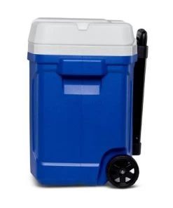 Igloo Latitude 30qt Roller Cooler 19 Igloo Latitude 30qt Roller Cooler -Deals Coolers Store unnamed file 256