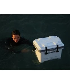 Igloo IMX Hard Sided 24qt Portable Cooler - White -Deals Coolers Store unnamed file 437