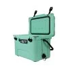 Driftsun DS-ICE-20SF Heavy Duty Rotomolded Thermoplastic UV Resistant Portable 20 Quart Insulated Hardside Ice Chest Beverage Cooler, Sea Foam Green